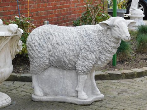 tuinbeeld , kado , schaap - 4