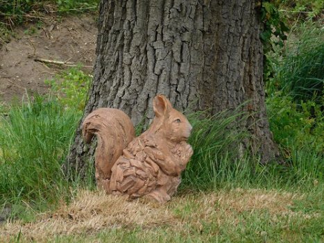 eekhoorn , hout look , tuinbeeld - 3