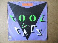 a5628 squeeze - cool for cats