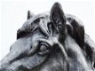 paardenhoofd ,job - 3 - Thumbnail