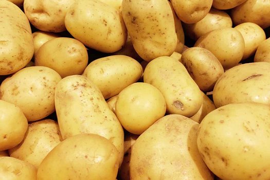 verse aardappelen te koop - 3