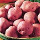 verse aardappelen te koop - 4 - Thumbnail