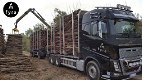 Droog gekloofd brandhout (eik, beuk, berk) - 3 - Thumbnail