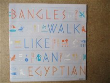 a5902 bangles - walk like an egyptian
