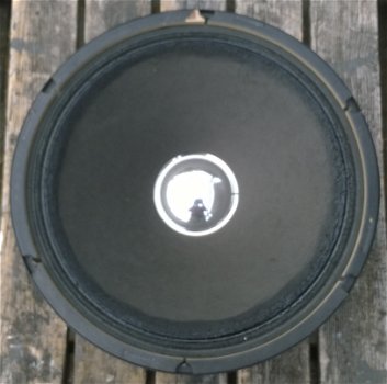 Woofer 15 inch, 250 Watt (oorsprong onbekend) - 0