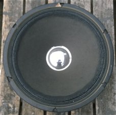 Woofer 15 inch, 250 Watt (oorsprong onbekend)