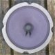 Speaker midrange 5,25 inch (135 mm) - 0 - Thumbnail