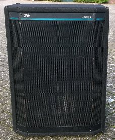 Luidsprekers, 15 inch (2 stuks)