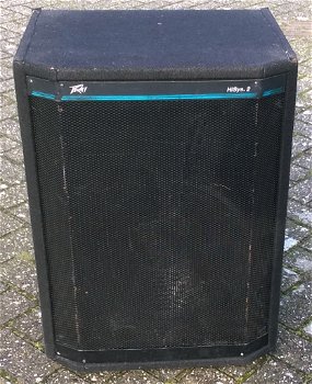 Luidsprekers, 15 inch (2 stuks) - 1