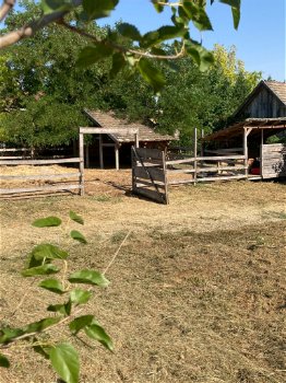 Hongarije, boerderij met paardenstallen nabij Budapest - 4