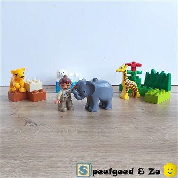 Lego Duplo Baby Dierentuin | compleet | 4962 - 0