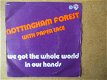 a6424 nottingham forest - we got the whole world - 0 - Thumbnail