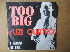 a6490 suzi quatro - too big