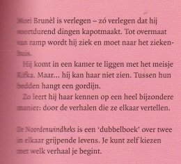 DE NOORDENWINDHEKS - Daan Remmerts de Vries - 3