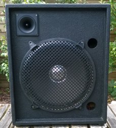 Luidsprekers, 15 inch (2 stuks)