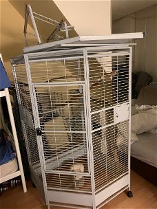 Corner Parrot cage 110x150 cm