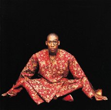 Raphael Saadiq – Instant Vintage (CD) Nieuw/Gesealed