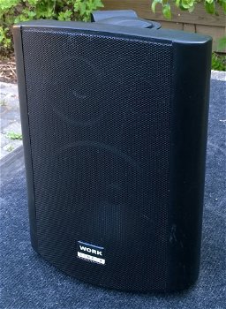 Luidsprekers 5,25 inch 2 stuks (8 Ohm of 100 Volt) - 1