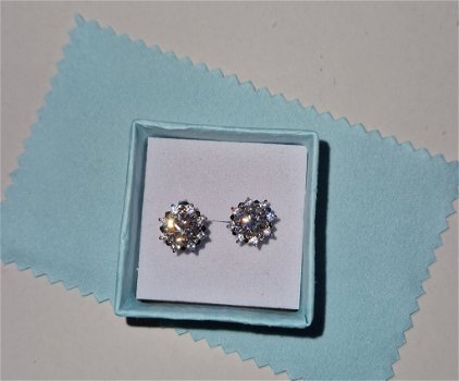 Moissanite Oorbel 1.0CT - 1