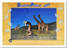 Tom Arma: Giraf - Selecta - 1000 Stukjes