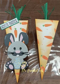 ECD carrot box - 2