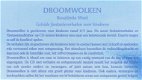 DROOMWOLKEN - Rosalinda Weel - 1 - Thumbnail