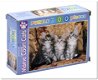 Maine Coon Cats - Magnum - 300 Stukjes - 0 - Thumbnail