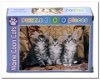 Maine Coon Cats - Magnum - 300 Stukjes - 1 - Thumbnail