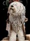 Weta Jim Heson Labyrinth Sir Didymus and Ambrosius - 3 - Thumbnail