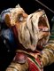 Weta Jim Heson Labyrinth Sir Didymus and Ambrosius - 5 - Thumbnail