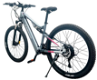 RANDRIDE YG90A Electric Bike 1000W Motor 45km/h Max - 3 - Thumbnail