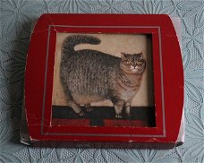 6 kaarten kat - Paul Martin