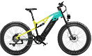 LANKELEISI RV800 Electric Bike 26*4.0'' Wheel 48V 750W - 0 - Thumbnail