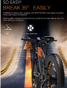 LANKELEISI RV800 Electric Bike 26*4.0'' Wheel 48V 750W - 3