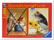Spelende Katjes - Ravensburger - 1000 Stukjes - 1 - Thumbnail