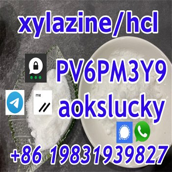 Factory Supply CAS 7361-61-7 Xylazine HCl， Xylazine Powder CAS 7361-61-7 with Fast Delivery - 0