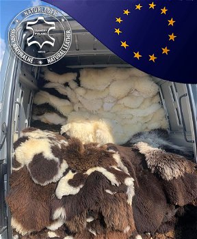 Bio-gelooide schapenvachten. Gratis levering in de EU - 1