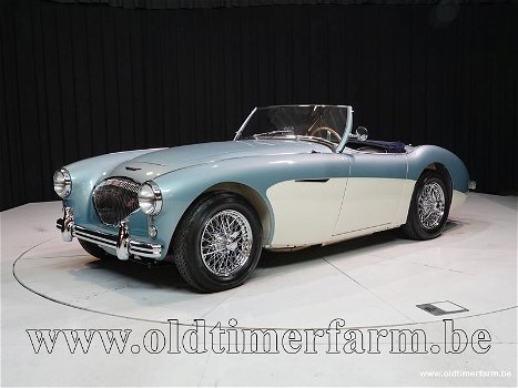 Austin Healey 100/4 BN1 '54 CH4168 - 0