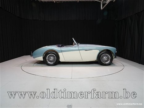 Austin Healey 100/4 BN1 '54 CH4168 - 2