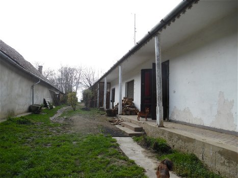Hongarije: Boerderij met veel grond en voormalige mini camping - 1