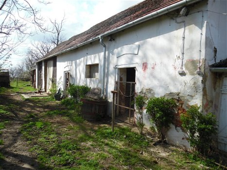 Hongarije: Boerderij met veel grond en voormalige mini camping - 4