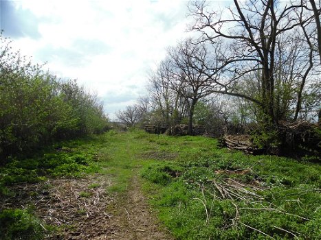 Hongarije: Boerderij met veel grond en voormalige mini camping - 5