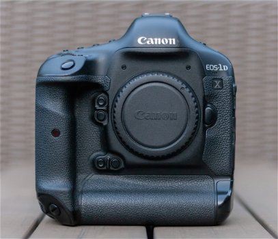 Canon EOS 1DX + Sigma 70-300mm F/4-5.6 DG Macro - 0