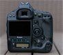 Canon EOS 1DX + Sigma 70-300mm F/4-5.6 DG Macro - 2 - Thumbnail