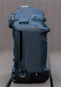 Canon EOS 1DX + Sigma 70-300mm F/4-5.6 DG Macro - 3
