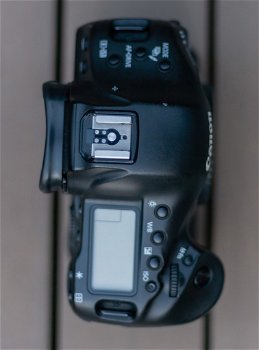 Canon EOS 1DX + Sigma 70-300mm F/4-5.6 DG Macro - 4