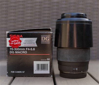 Canon EOS 1DX + Sigma 70-300mm F/4-5.6 DG Macro - 5