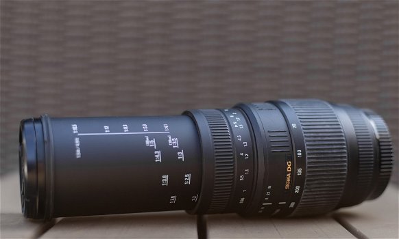 Canon EOS 1DX + Sigma 70-300mm F/4-5.6 DG Macro - 6