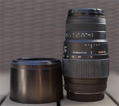 Canon EOS 1DX + Sigma 70-300mm F/4-5.6 DG Macro - 7