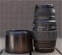 Canon EOS 1DX + Sigma 70-300mm F/4-5.6 DG Macro - 7 - Thumbnail